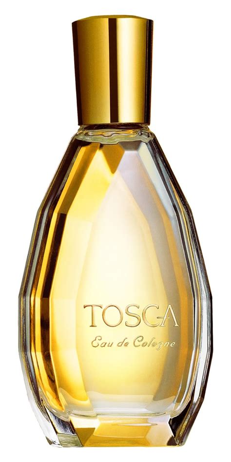 tosca perfume amazon